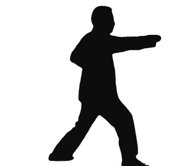 chen xiaowang forme 9 taiji