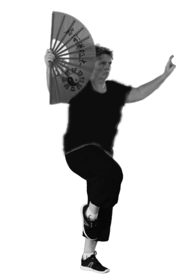 taichi chen eventail