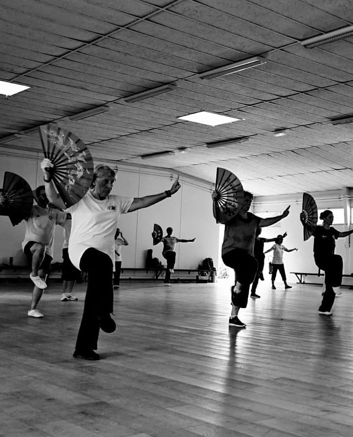 stage tai chi eventail chen