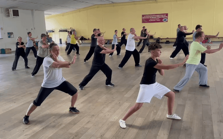 stage taiji chen ziqiang france