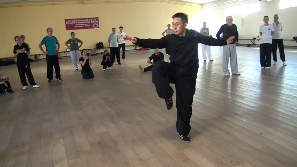 chen ziqiang laojia yilu taichi