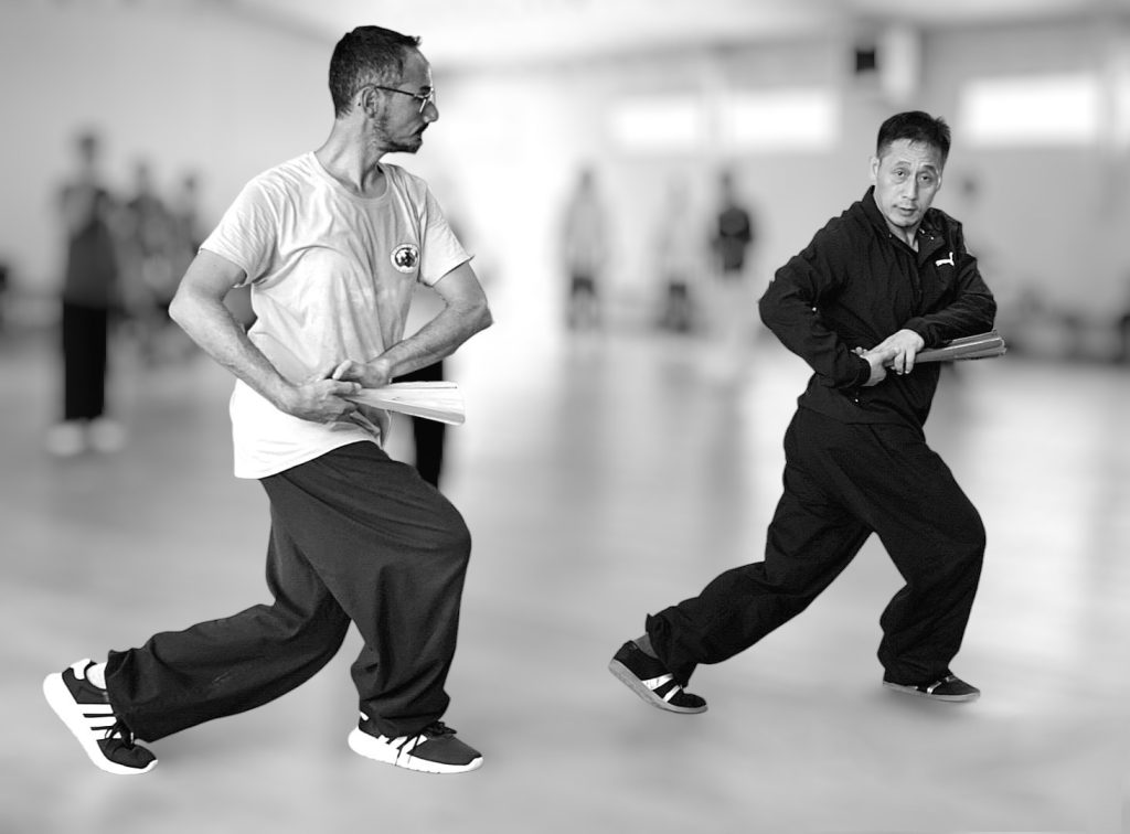 taichi éventail chen ziqiang