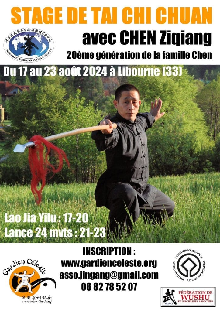 stage tai chi chuan chen ziqiang