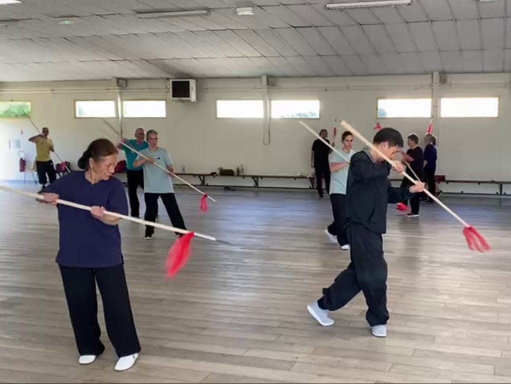taiji quan chen ziqiang lance