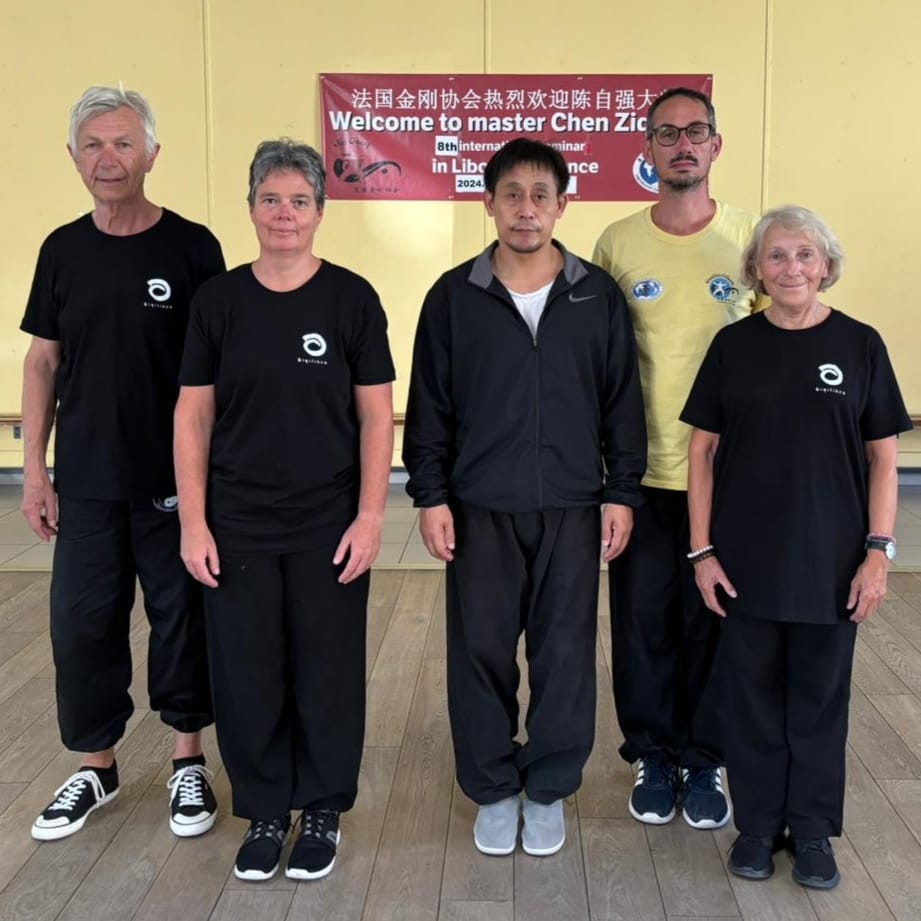 eiqilibre tai chi chuan chen ziqiang