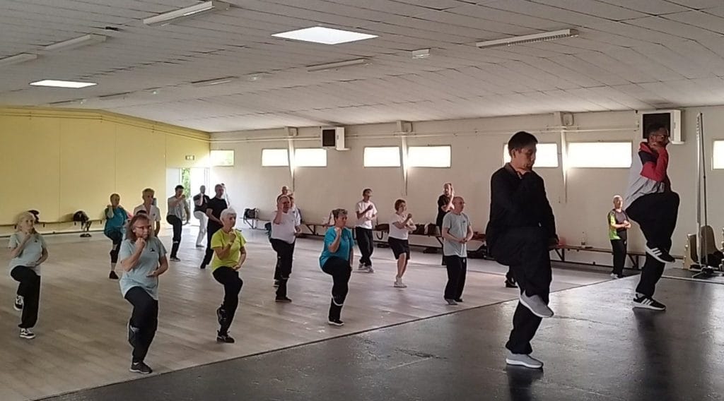 stage tai chi chuan chen