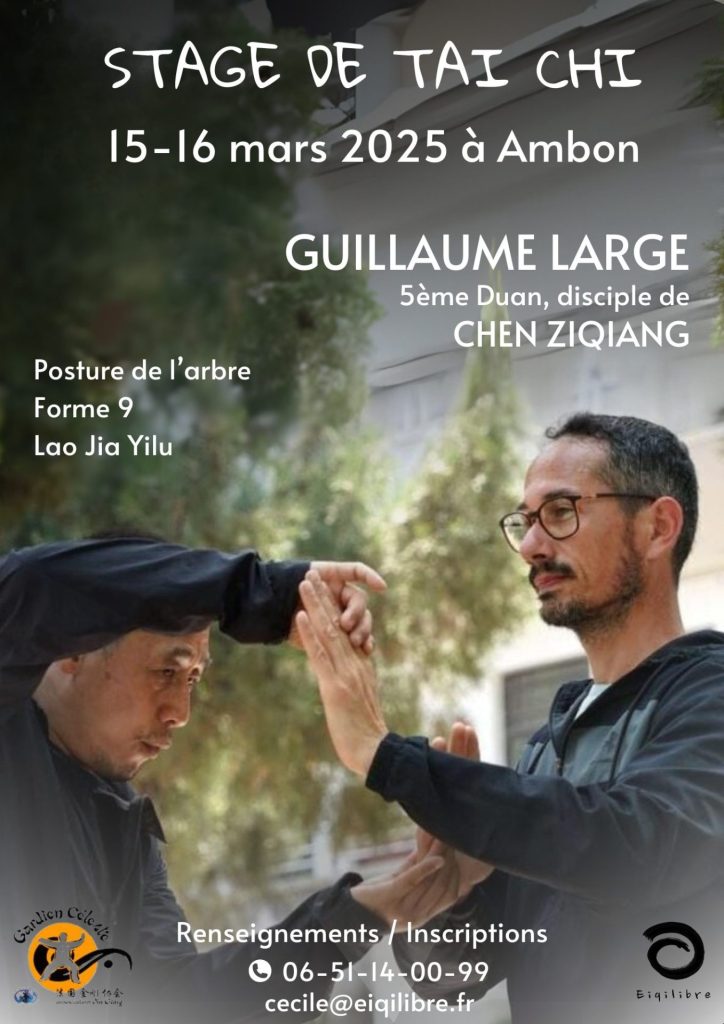 stage taichi chuan muzillac ambon