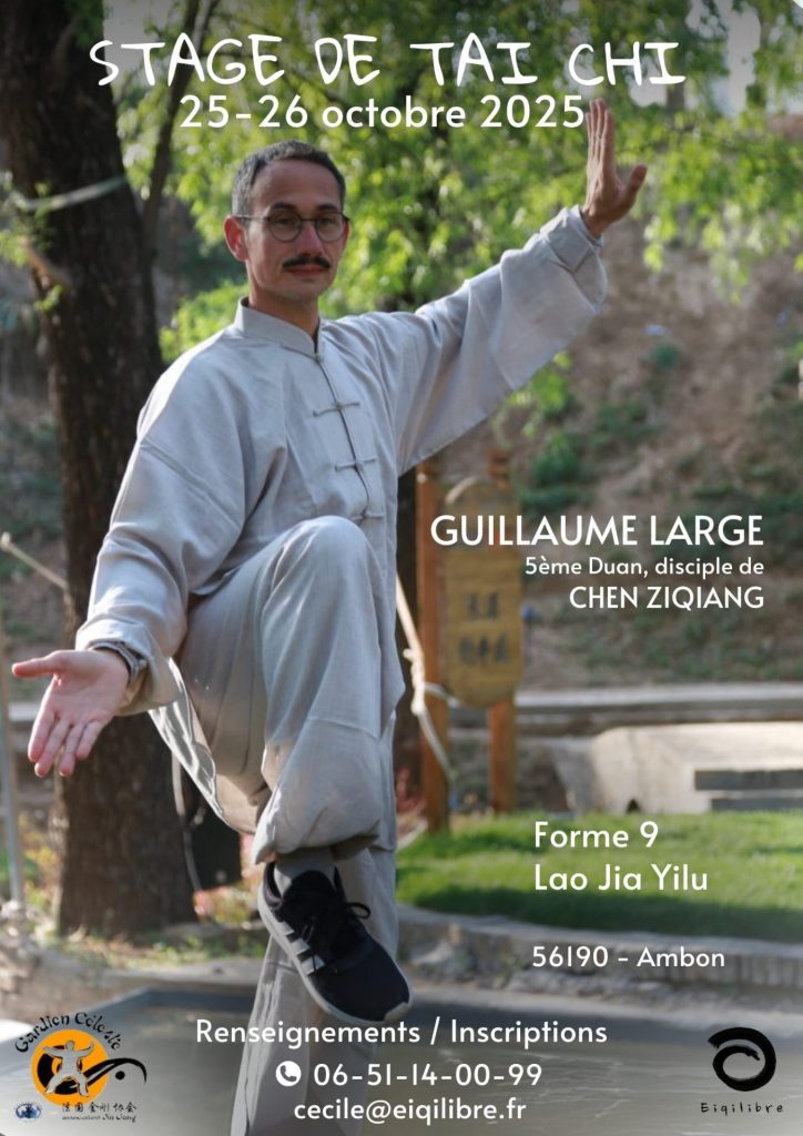 stage tai chi chuan ambon