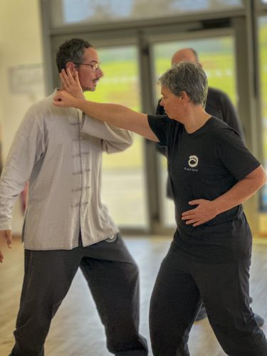 application martiale taiji quan muzillac